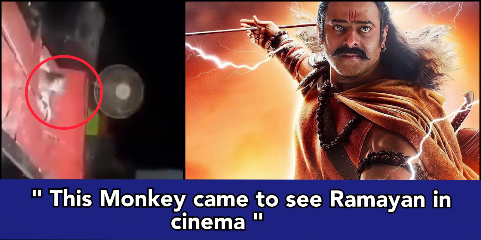 Monkey comes in a cinema hall screening Adipurush, Was he Hanuman ji himself came to watch Ramayana?