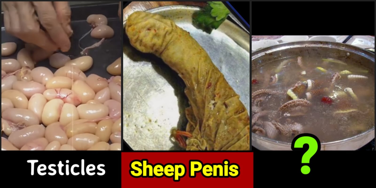 A List of 8 shocking food items that are consumed in China