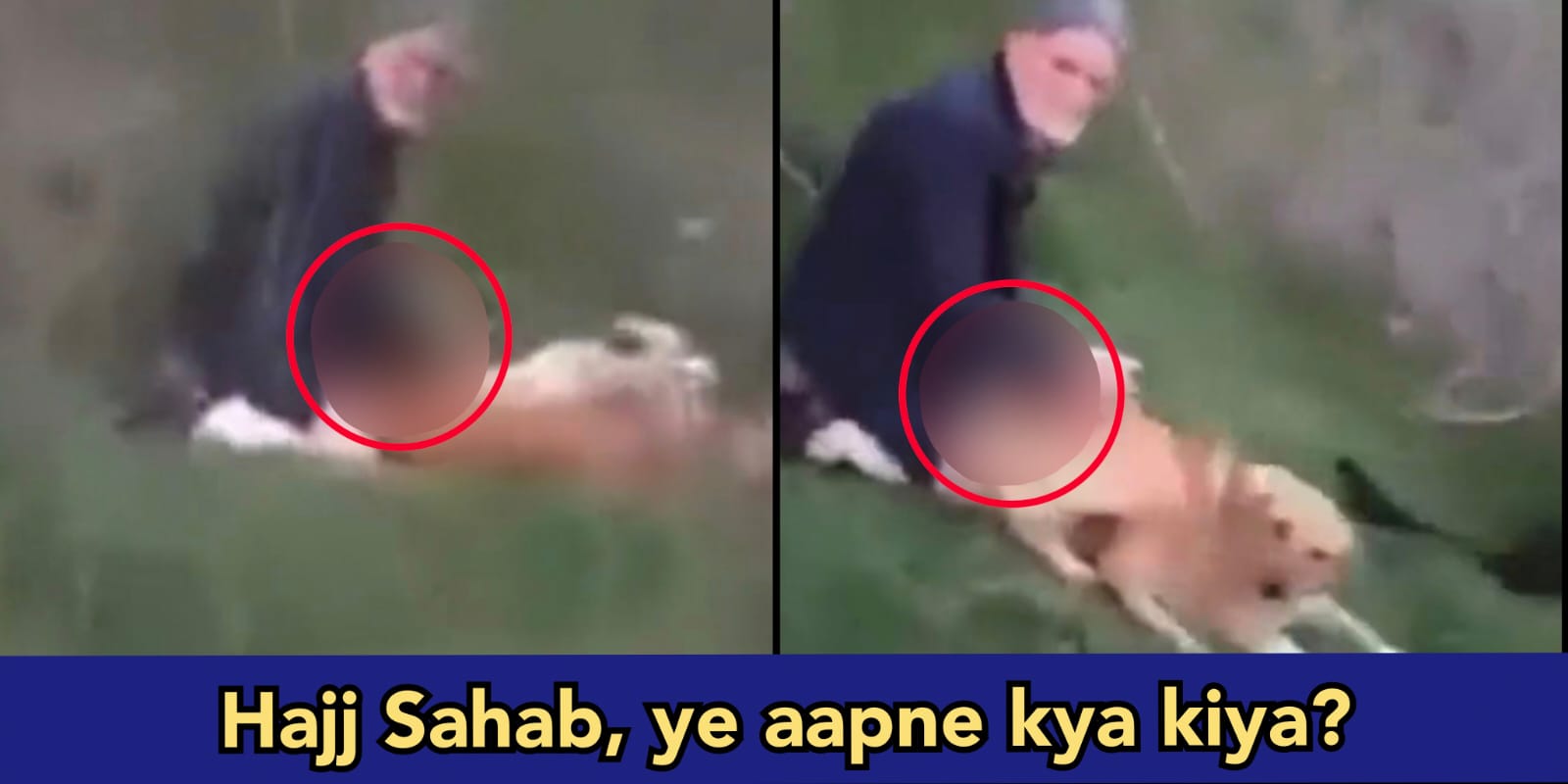 Man caught raping a Male dog, but people recorded everything on their camera