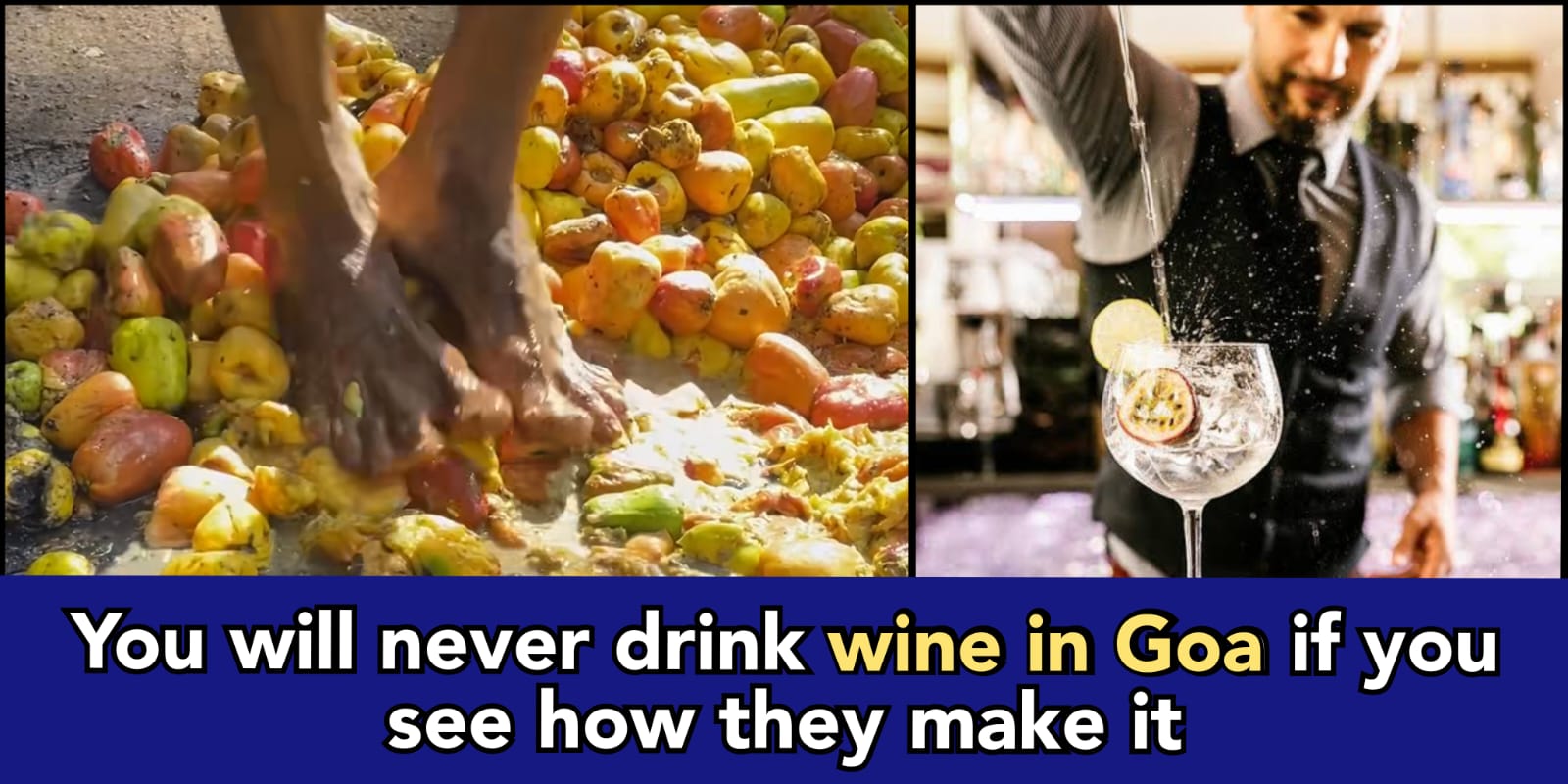 This is how they make wine in Goa, the dirtiest way of preparing liquor ever seen