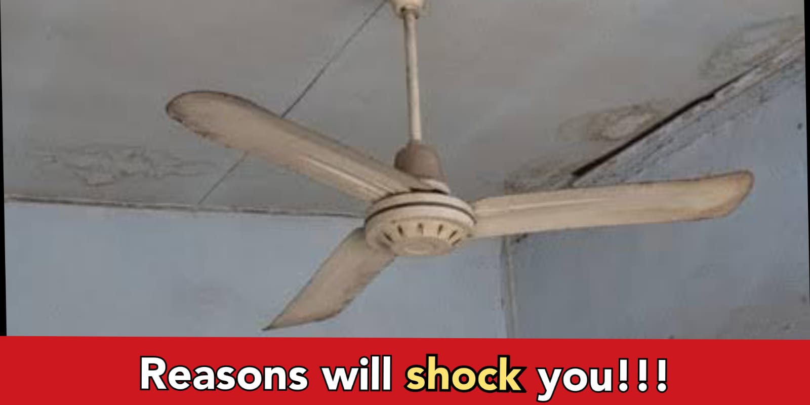 Why do we have only 3 blades in ceiling fans in India, check out to know everything