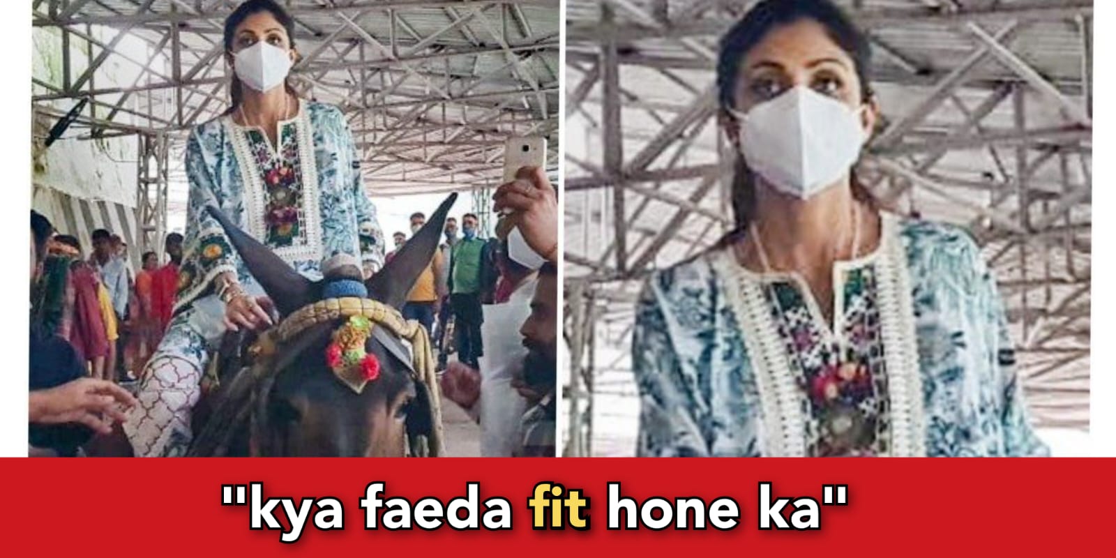 Shilpa Shetty rides mule to VaishnoDevi, users show anger for animal abuse