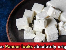 How do they make fake Paneer, quickly check the process
