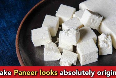 How do they make fake Paneer, quickly check the process
