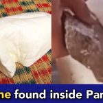 Biggest online scam ever, Seller puts stone inside Paneer to increase the weight