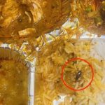 Man finds cockroach in meal served on Vande Bharat Express, IRCTC comes up with an apology tweet