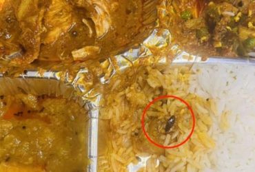 Man finds cockroach in meal served on Vande Bharat Express, IRCTC comes up with an apology tweet