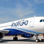 "Love is in the air, but where are you" - Indigo Airlines flirts with a Woman on X, Husband gives a fiery reply