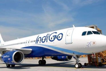 "Love is in the air, but where are you" - Indigo Airlines flirts with a Woman on X, Husband gives a fiery reply