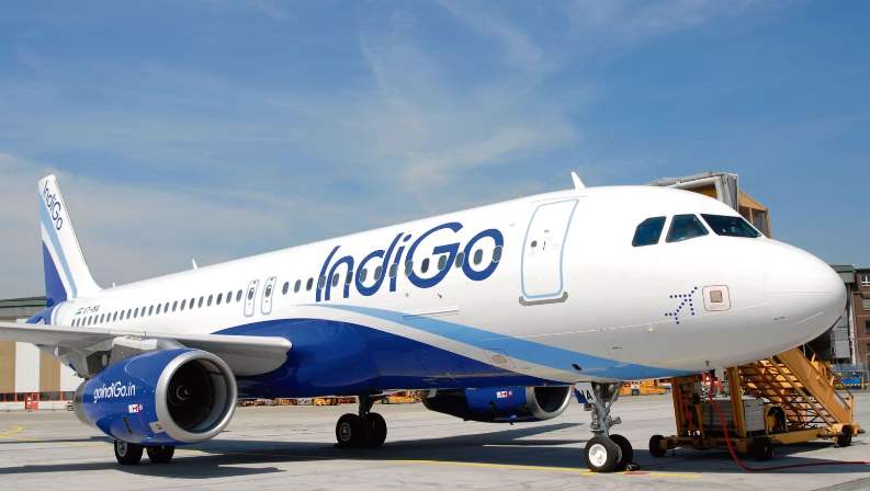 "Love is in the air, but where are you" - Indigo Airlines flirts with a Woman on X, Husband gives a fiery reply