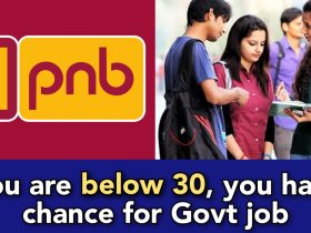 PNB has announced biggest opportunity for Govt job seekers, apply it here