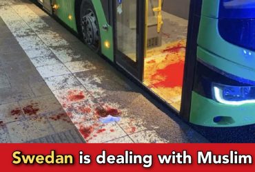 Sweden: Afghan immigrant kills bus driver for not giving him free ride