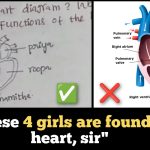 Indian student draw a heart diagram, explains 4 girls live in 4 chambers