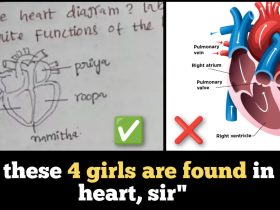 Indian student draw a heart diagram, explains 4 girls live in 4 chambers