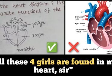 Indian student draw a heart diagram, explains 4 girls live in 4 chambers