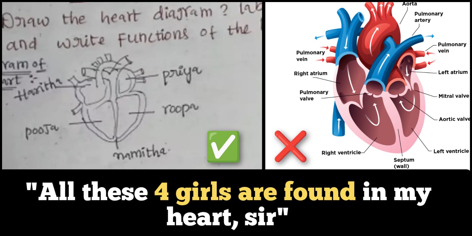 Indian student draw a heart diagram, explains 4 girls live in 4 chambers