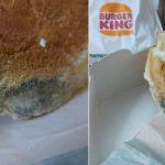 Man Finds Mold on Burger Ordered from Burger King, Zomato reacts!