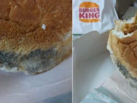 Man Finds Mold on Burger Ordered from Burger King, Zomato reacts!