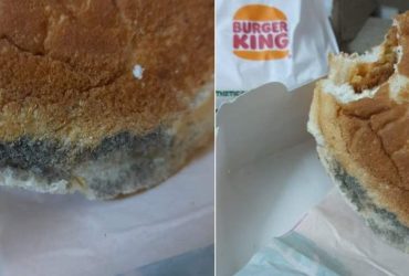 Man Finds Mold on Burger Ordered from Burger King, Zomato reacts!