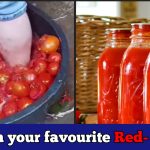 Rotten tomatoes are used to make tomato sauce: Man reveals on camera