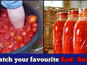 Rotten tomatoes are used to make tomato sauce: Man reveals on camera