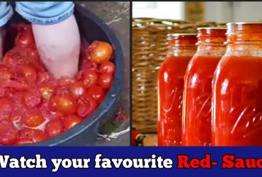 Rotten tomatoes are used to make tomato sauce: Man reveals on camera