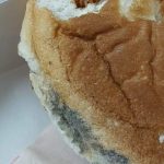 Burger King reacts after Customer finds Fungus on Burger, read details