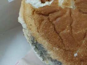 Burger King reacts after Customer finds Fungus on Burger, read details