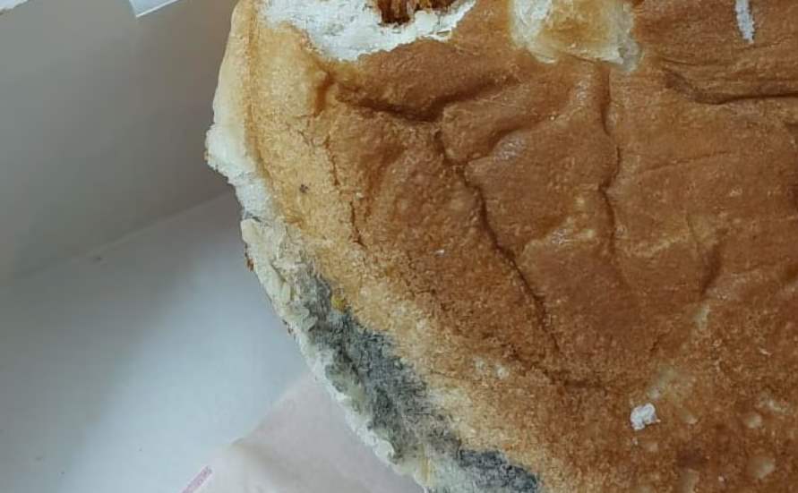 Burger King reacts after Customer finds Fungus on Burger, read details