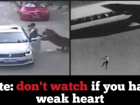 These video clips captured moments before destruction, internet is shocked to see