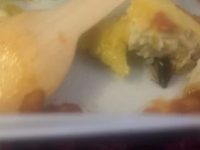 Passenger spots Cockroach in Food on Delhi-New York Flight, Air India responds