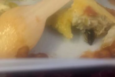 Passenger spots Cockroach in Food on Delhi-New York Flight, Air India responds