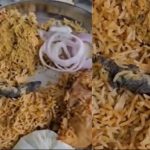 Man spots 'Dead Lizard' in Chicken Biriyani, Zomato quickly pings him