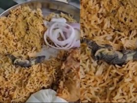 Man spots 'Dead Lizard' in Chicken Biriyani, Zomato quickly pings him