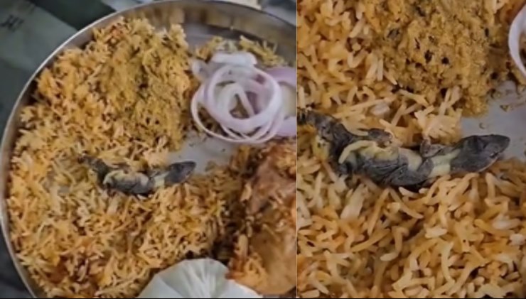 Man spots 'Dead Lizard' in Chicken Biriyani, Zomato quickly pings him