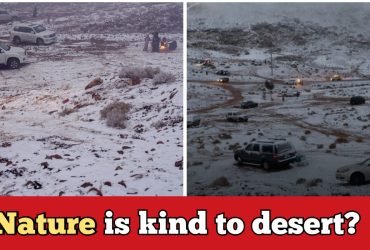 Unexpected! It's snowing in Arab Desert, there is an ice sheet everywhere