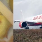 Passenger finds Cockroach in the omlette on Delhi-New York flight, Air India responds