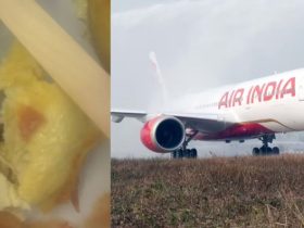 Passenger finds Cockroach in the omlette on Delhi-New York flight, Air India responds