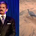 Anand Mahindra posts 'light-hearted' video to highlight significance of teamwork