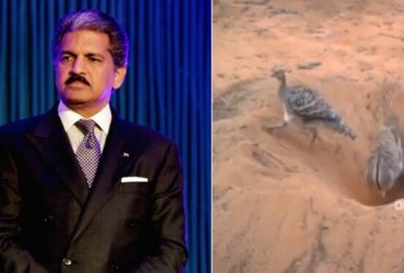 Anand Mahindra posts 'light-hearted' video to highlight significance of teamwork