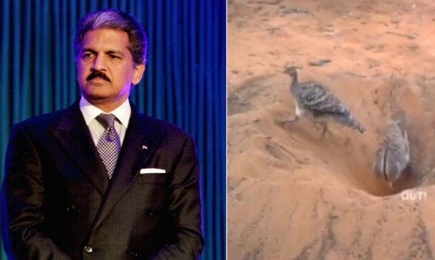 Anand Mahindra posts 'light-hearted' video to highlight significance of teamwork