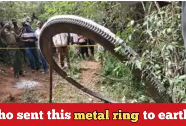 500kg of huge ring falls from sky in Africa; scientists begin to examine it