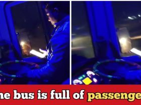 Dolphin travel bus driver seen watching instagram reels while Bus at full speed